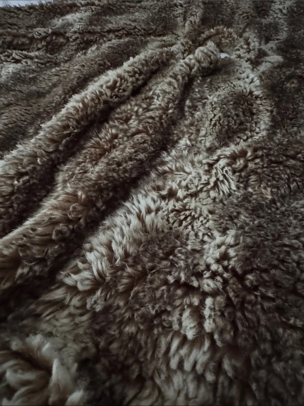 Pottery Barn Large 60